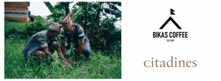 旅をしながらコーヒーの森を育む新しい宿泊プランが実