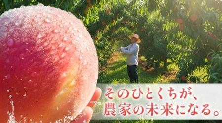 『10年後には桃が無くなる..！？』桃の未来を守るため