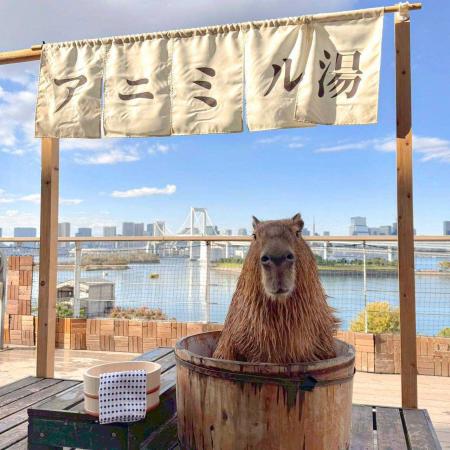 「アニミル湯　はじめました！」次世代都市型ふutf-8