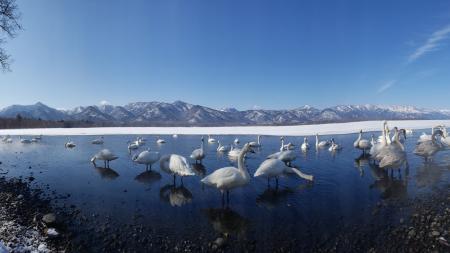 【屈斜路プリンスホテル】冬季営業期間を拡大し厳冬期