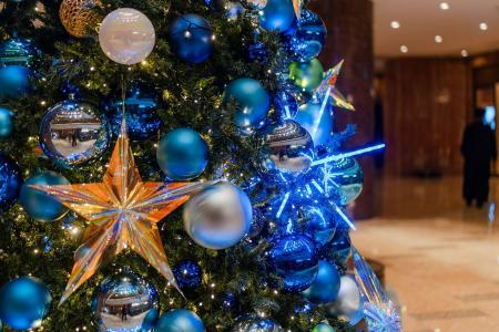 【News Letter】きらめく冬の横浜で過ごす、心躍るク 【News Letter】きらめく冬の横浜で過ごす、心躍るク