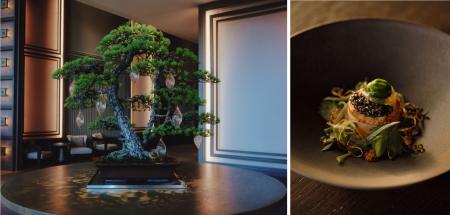 【ジャヌ東京】「TRADMAN’S BONSAI」の盆栽に染まるフ 【ジャヌ東京】「TRADMAN’S BONSAI」の盆栽に染まるフ