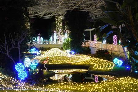 約50万球が輝く幻想的な光と花々の饗宴！ 「フラワー