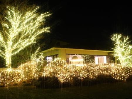 【12月~3月限定】静寂な仙石原に眩いシャンパンゴー 【12月~3月限定】静寂な仙石原に眩いシャンパンゴー