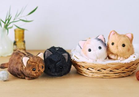 子猫たちに囲まれてしあわせ気分♪ 「手のひらにちょこ