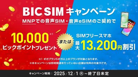 【12月1日から】ビックカメラ店頭申込みならスマホ最