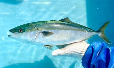 F&LC×拓洋の共同出資会社（JV）マリンバース　　2025