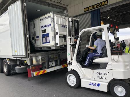 ANAとナッシュの新たな協働により冷凍食品の空輸utf-8