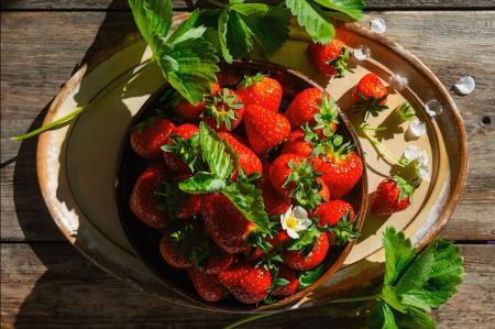 地域のいちご農園を承継し、新しい観光農園「IZU ARTH