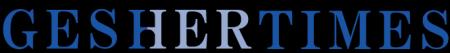 株式会社ゲシェル、ビジネス・イノベーションメディア