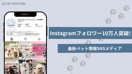 ペットSNSメディア【nomnom-ノムノム-】Instagramフォ
