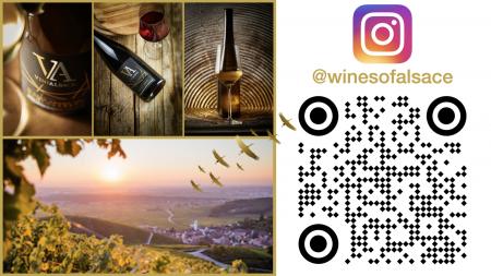 「Alsace Rocks（アルザスロックス）2025 日本キャン