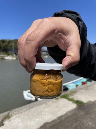 能登ウニ「希-のぞみ-」の販売を順次受付開始