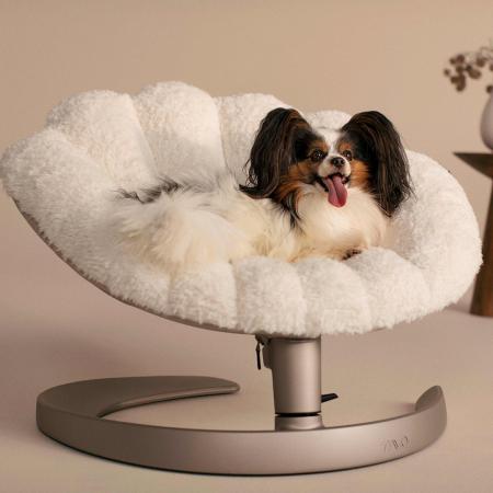 ペットケア用品ブランド「WAFONA」によるペット用品専