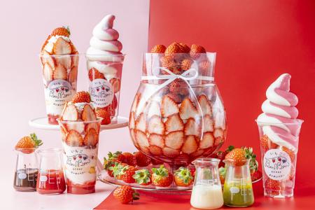 ＜いちごBonBonBERRY ATAMI HOUSE.＞静岡県産いutf-8