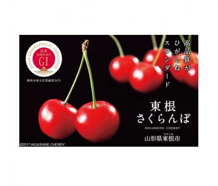 山形県東根市の「ふるさと納税」プロモーションを開始