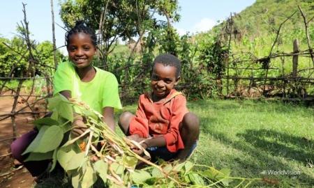 二国間クレジット制度（JCM）によるカーボンクレジッ