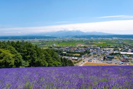 日動がJALとタッグ 「JALオーベルジュ富良野」JAL初の 日動がJALとタッグ 「JALオーベルジュ富良野」JAL初の