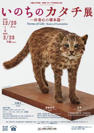 【沖縄県立博物館・美術館】いのちのカタチ展―好奇心