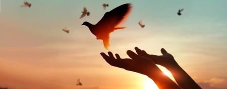 2024年度は新たに3団体への資金支援・プロボノを実施