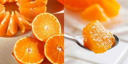 【数量限定×特別価格】愛媛の“冬の女王”をサステナブ