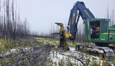 森林火災による被害木を未来ある再生可能エネルutf-8