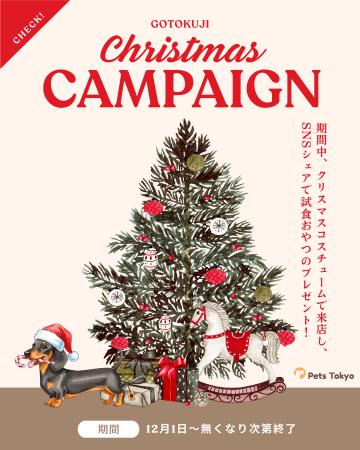【PetsTokyo 豪徳寺店】クリスマスおやつプレゼントキ
