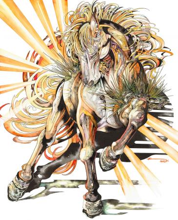 ペンと水彩で動植物を描き「生命の息吹」を感じさせる