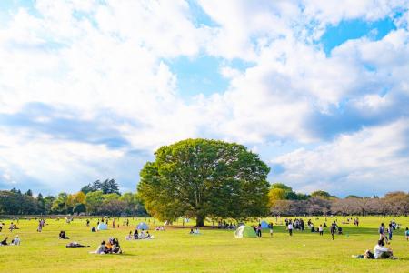 立川から、文化の“流れ”を育てる。市民団体「Raise th