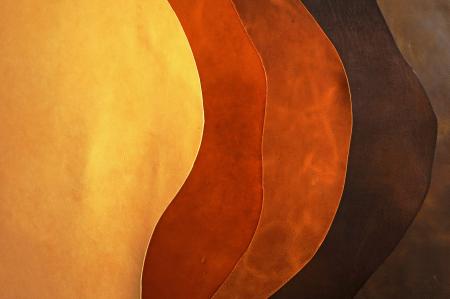 どんぐりのヌメ革「ペリット・クプール」誕生　“森で