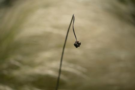 THE GALLERYセレクション展　岡本 洋子　写真展　「新