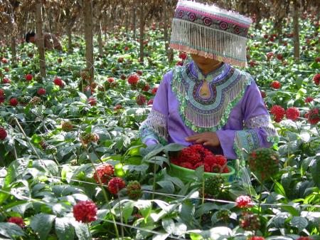 老舗漢方薬局の叡智から生まれた漢方サプリメント《極