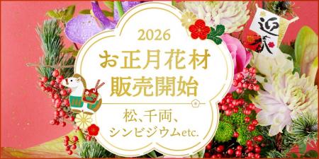【お正月花材　販売開始！】松・千両・シンビジウムを