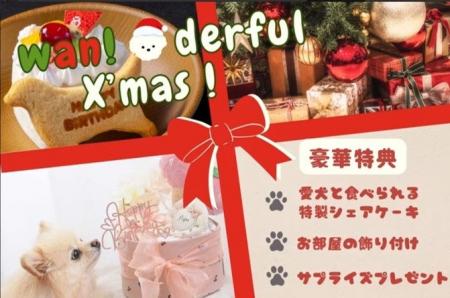 【ワンダフルX’masプランのご紹介】愛犬と味わうシェ
