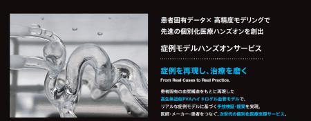診断データから治療部位を再現する「症例モデルサービ