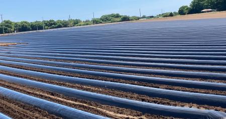 エコプロ2025　日本バイオプラスチック協会ブースにて