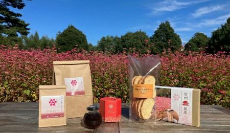 希少な赤ソバ「高嶺ルビー」の魅力を全国へ「令和7年