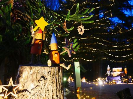 『スターライトイルミネーション』まもなく開催（国営