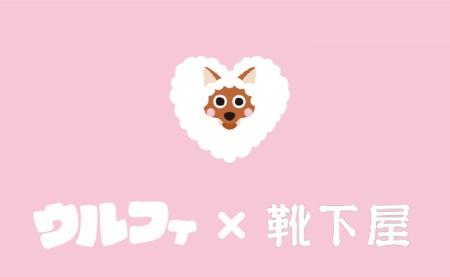 メ～テレのキャラクター「ウルフィ」×靴下屋のコラボ