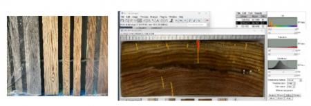 木造建築の退色・ひび割れに効果的な手法を、工utf-8