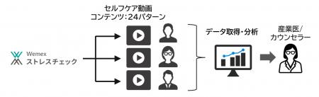 「Wemex ストレスチェック」全24パターンのセルフケア