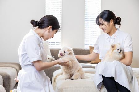 日本初※「在宅医療 × ペットシッター」の新モデル誕生