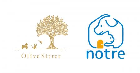 介護が必要な高齢ペットのケアを獣医師・愛玩動物看護