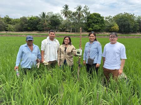 ペルーの水稲生産における病害管理プロジェクトutf-8