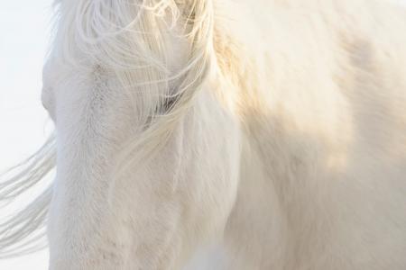 フジフイルム スクエア 企画写真展 岡田 敦写真展「 フジフイルム スクエア 企画写真展 岡田 敦写真展「