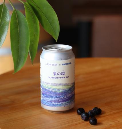 ホリバコミュニティとローカルフラッグ、ブルーベリー