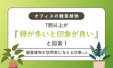 【オフィスの観葉植物】7割以上が「緑が多いと印象が