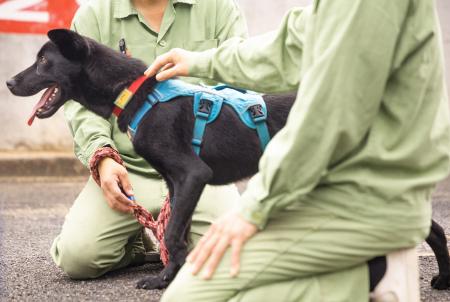 【第65回全国矯正展】ステージイベントに全国初の刑務