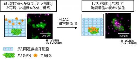 TOPPANホールディングス、大阪大学大学院工学研究科、
