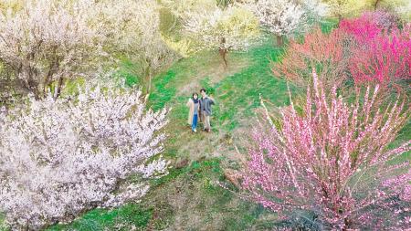 【限定6組】夜はライトアップ、朝はドローン空撮。日